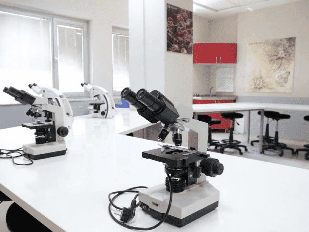 Laboratuvar / Mikroskop